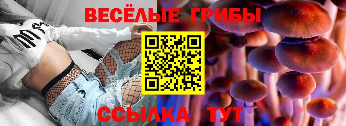 Галлюциногенные грибы MAGIC MUSHROOMS  Псилоцибиновые грибы мухоморы  Вход с VPN  Новоалтайск 