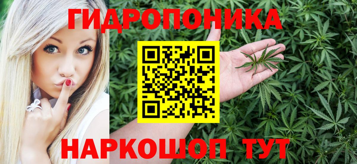 Шишки марихуана Amnesia Новоалтайск